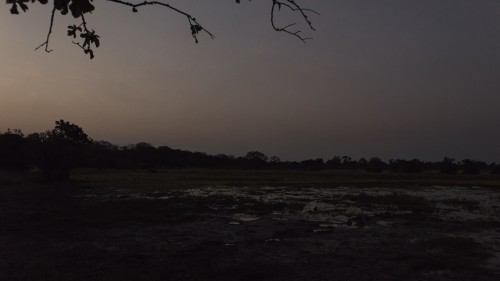 Abendstimmung am Luangwa River   (Klicken zum öffnen)