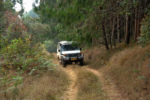 Unterwegs auf dem Zomba Plateau   (Klicken zum öffnen)