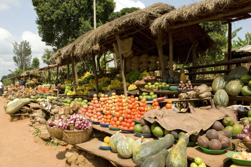 Strassenmarkt an der Ausfallstrasse von Kampala, Uganda   (Klicken zum öffnen)