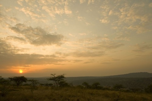 Sunrise am Lake Mburu, Uganda   (Klicken zum öffnen)