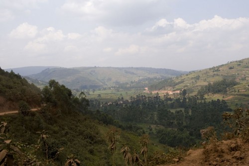 Grenzgebiet Uganda - Ruanda   (Klicken zum öffnen)