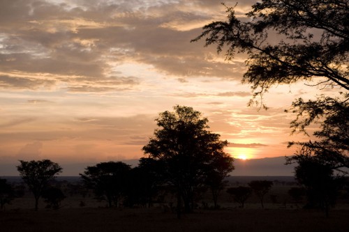 Sunset im Queen Elizabeth NP, Uganda   (Klicken zum öffnen)