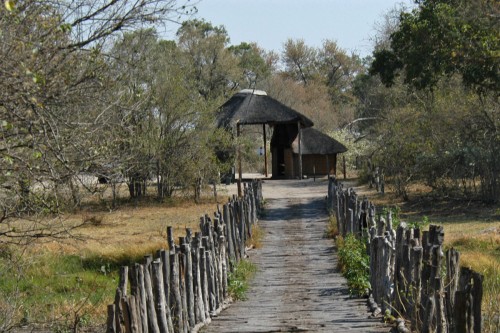 Manche Brücken sind etwas schmal und wackelig; Moremi NP, Botswana   (Klicken zum öffnen)