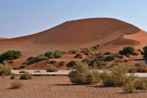 Der Aufsteig auf die Dünen ist mühsam, entschädigt aber mit grossartiger Aussicht   (Klicken zum öffnen)