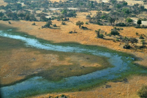 Flug über das Okawango-Delta   (Klicken zum öffnen)