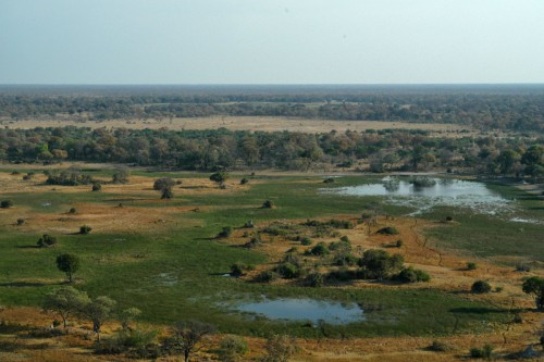 Flug über das Okawango-Delta   (Klicken zum öffnen)