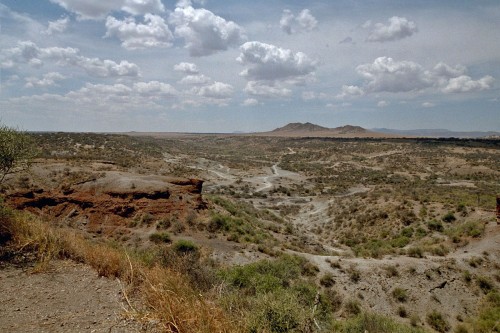 Olduvai Gorge, die Wiege der Menschheit   (Klicken zum öffnen)