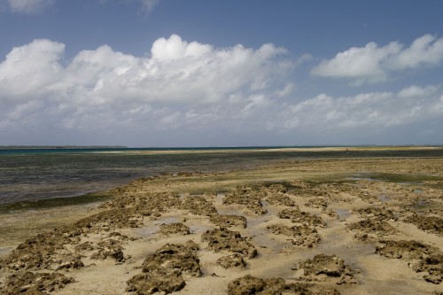 Auf Mafia Island   (Klicken zum öffnen)