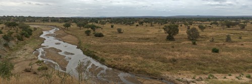 Tarangire-Valley   (Klicken zum öffnen)