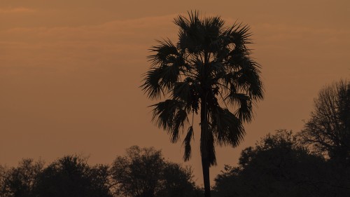 Zeit für einen Sundowner   (Klicken zum öffnen)