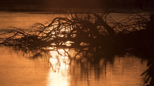 Luangwa River   (Klicken zum öffnen)