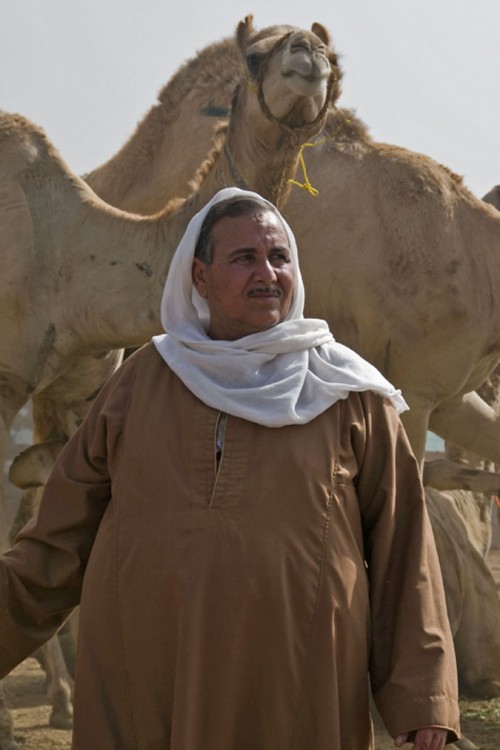 Sudanesischer Kamelhändler in Kairo   (Klicken zum öffnen)