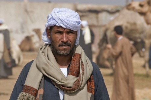 Der Grossteil der Händler und der Kamele stammen aus dem Sudan: 800 km zu Fuss mit der Karawane   (Klicken zum öffnen)