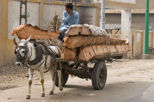 Transporte aller Art, zum Teil im dichtesten Verkehr   (Klicken zum öffnen)