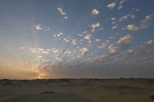 Sonnenaufgang nach der ersten Nacht in der Wüste   (Klicken zum öffnen)