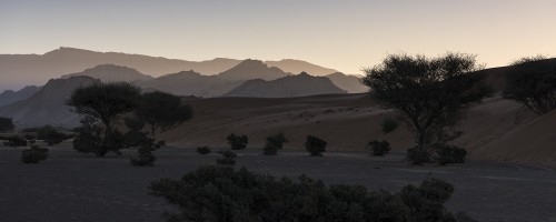 Kurz vor Sonnenaufgang in den Wahiba Sands   (Klicken zum öffnen)