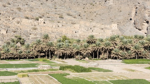Lehmziegeldorf Wadi Gul mit vorgelagerten Gärten   (Klicken zum öffnen)