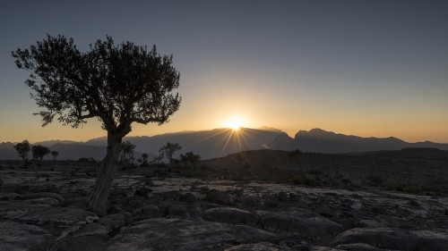Sunset auf dem Jebel Shams   (Klicken zum öffnen)