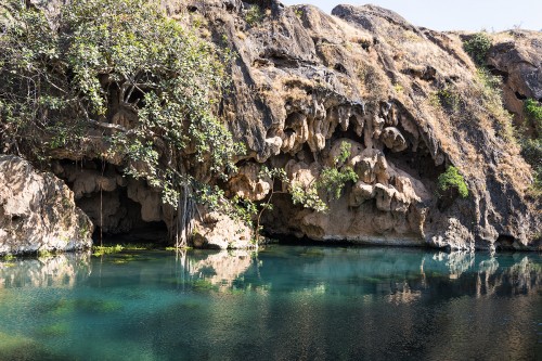 Warme Süsswasserquelle (ca 35°C) am Rande der Rub al-Khali   (Klicken zum öffnen)