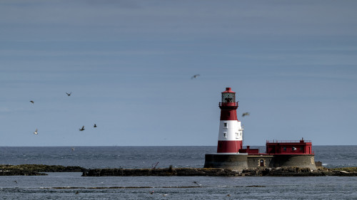 Longstone Lighthouse, Staple Island, North Umbria, UK   (Klicken zum öffnen)
