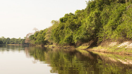 Auf dem Rio Negro   (Klicken zum öffnen)