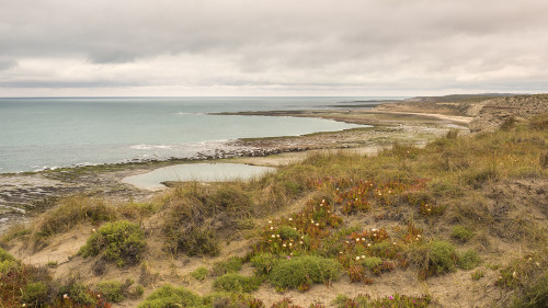 Punta Delgada   (Klicken zum öffnen)