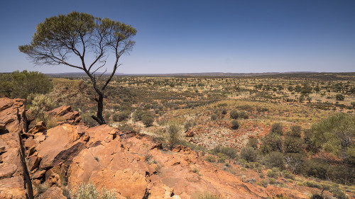 Gynti's Lookout am Larapinta Drive    (Klicken zum öffnen)