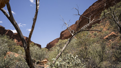 Im Kings Canyon. Der Rim Walk war wegen zu grosser Hitze gesperrt.   (Klicken zum öffnen)