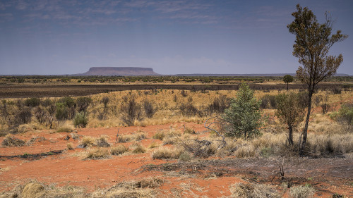 Mt Conner Lookout, Lasseter Highway. Der Berg im Hintergrund ist nicht der Uluru!   (Klicken zum öffnen)