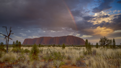 Sunrise am Uluru mit Gewitter und Regenbogen   (Klicken zum öffnen)