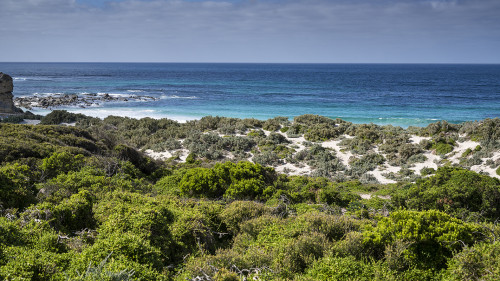 Seal Bay, Kangaroo Island   (Klicken zum öffnen)