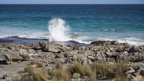 Blowhole   (Klicken zum öffnen)