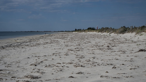 Kingston Shores mit Cape Jaffa LH im Hintergrund   (Klicken zum öffnen)