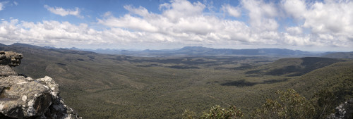 Reed Lookout, Grampian NP   (Klicken zum öffnen)