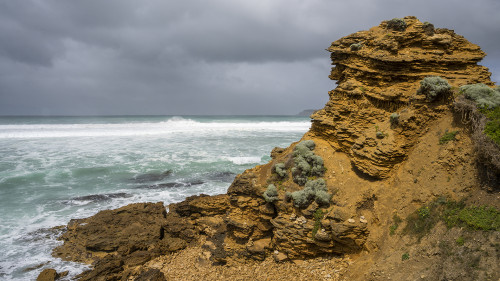 Yellow Rock, Nelson Bay   (Klicken zum öffnen)