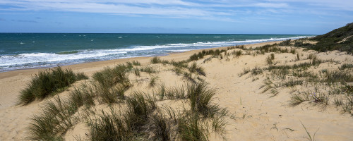 Golden Beach, Lakes Entrance.   (Klicken zum öffnen)