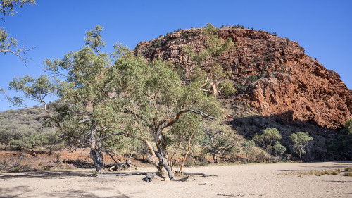 Simpsons Gap, Macdonnell Ranges   (Klicken zum öffnen)