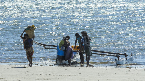 Fishermen arriving   (Klicken zum öffnen)