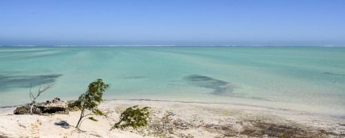 Traumstrand   (Klicken zum öffnen)