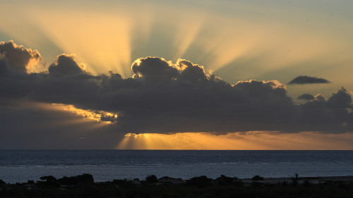 Lichtstimmung   (Klicken zum öffnen)