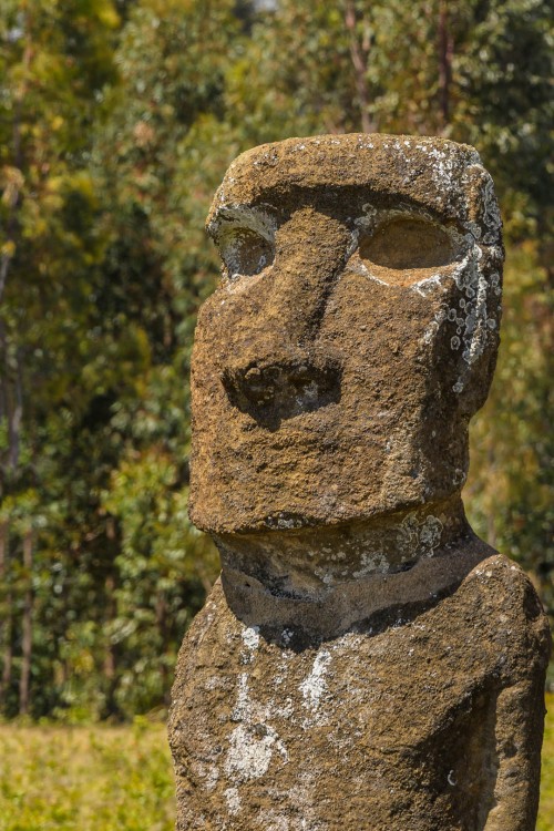 Ahu Akivi; die einzigen Statuen, die Richtung Meer blicken   (Klicken zum öffnen)