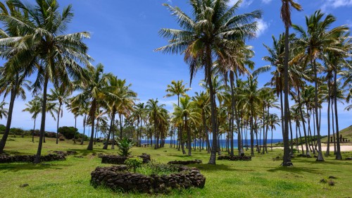 Anakena, die Bucht, wo die ersten Polynesier landeten   (Klicken zum öffnen)