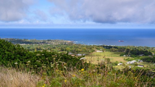 Blick auf Hanga Roa   (Klicken zum öffnen)