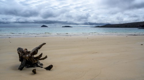 Post Office Bay, Isla Floreana   (Klicken zum öffnen)