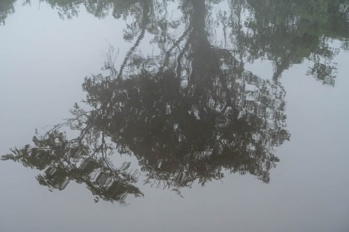 Die Bäume spiegeln sich im fast ruhigen Wasser   (Klicken zum öffnen)