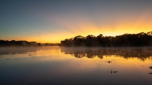 Morgenstimmung am Rio Cuiabá   (Klicken zum öffnen)