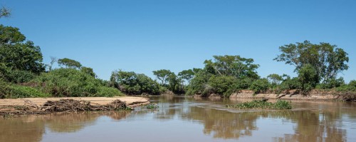 Der Rio Cuiabá hat kaum Fliessgeschwindigkeit   (Klicken zum öffnen)