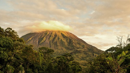 Volcano Arenal im Morgennebel   (Klicken zum öffnen)