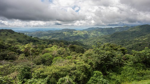 Regenwald auf dem Weg nach Monteverde   (Klicken zum öffnen)