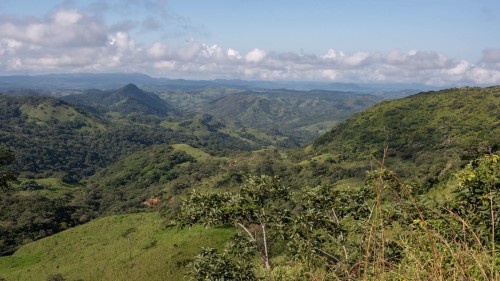 Landwirtschaft im Nebelwald von Monteverde   (Klicken zum öffnen)